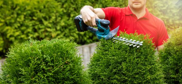Cost of Hedge Shaping Service in Oakland