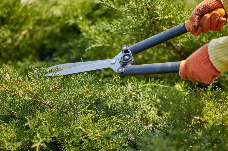 Close-up of Pruning Tools