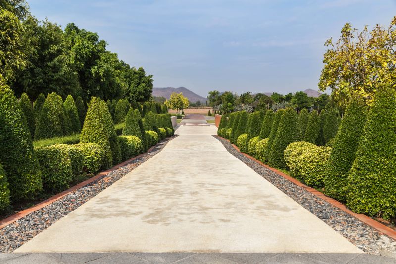 Trimmed Bushes Along a Pathway