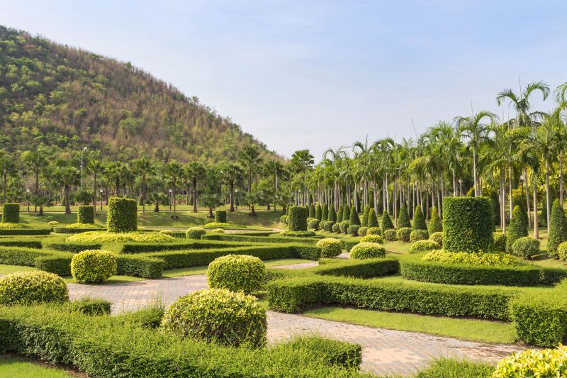 Landscape with Trimmed Bushes